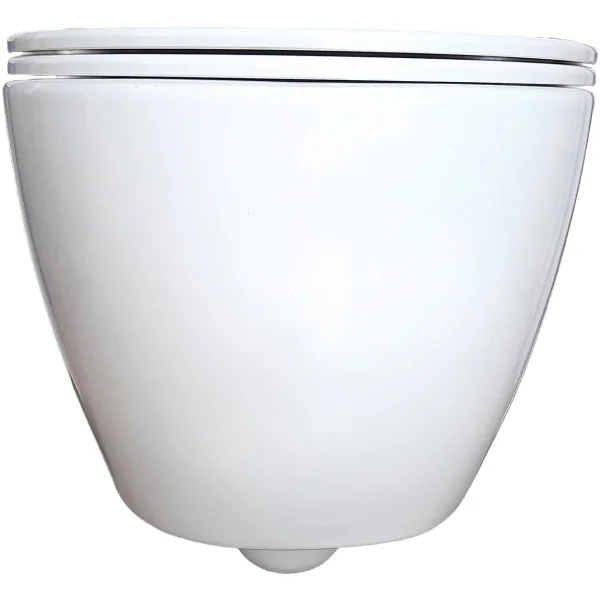 Унитаз подвесной Aquatek Поларис AQ0700-01 безободковый, с сиденьем микролифт, белый