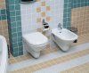 Унитаз подвесной Serel Orchidee 6810 с микролифтом