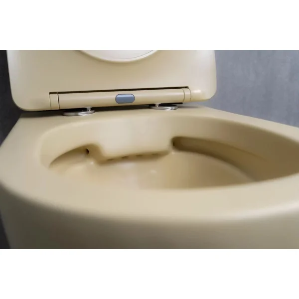 Унитаз подвесной GID Sr2198 безободковый, с сиденьем микролифт, бежевый матовый