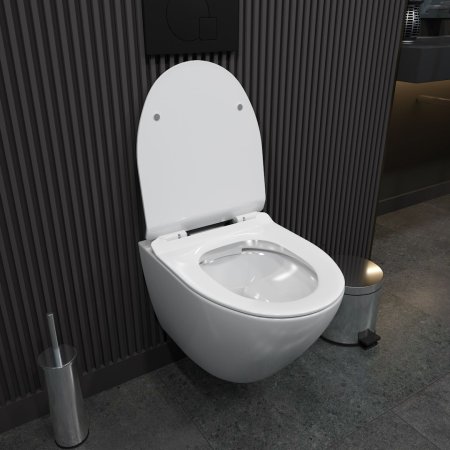 Унитаз подвесной Teymi Lina Pro безободковый, сиденье микролифт T40106